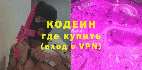 индика Алзамай