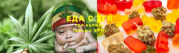 индика Алзамай