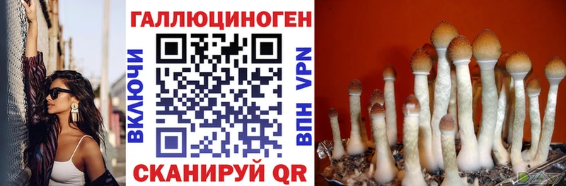 Псилоцибиновые грибы ЛСД  Петрозаводск 