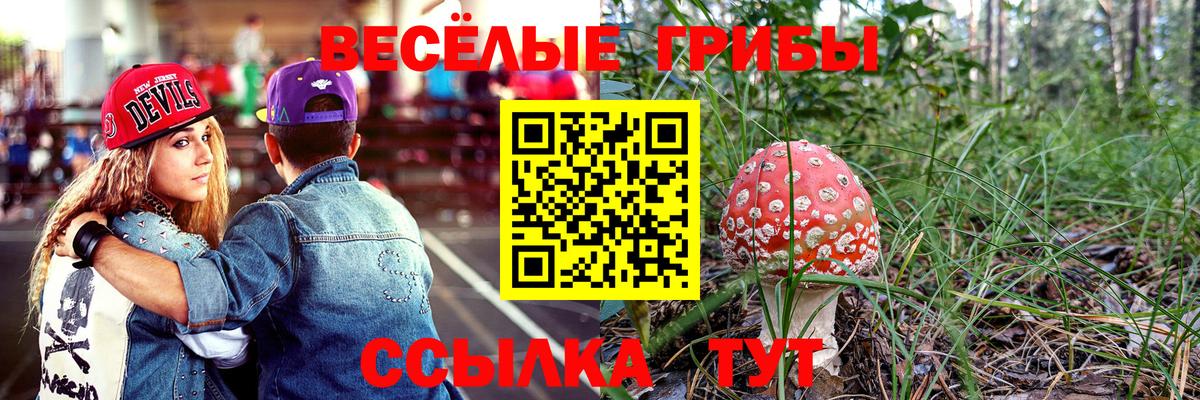 Петрозаводск  Галлюциногенные грибы Psilocybe  Вход с VPN  Галлюциногенные грибы Psilocybe 
