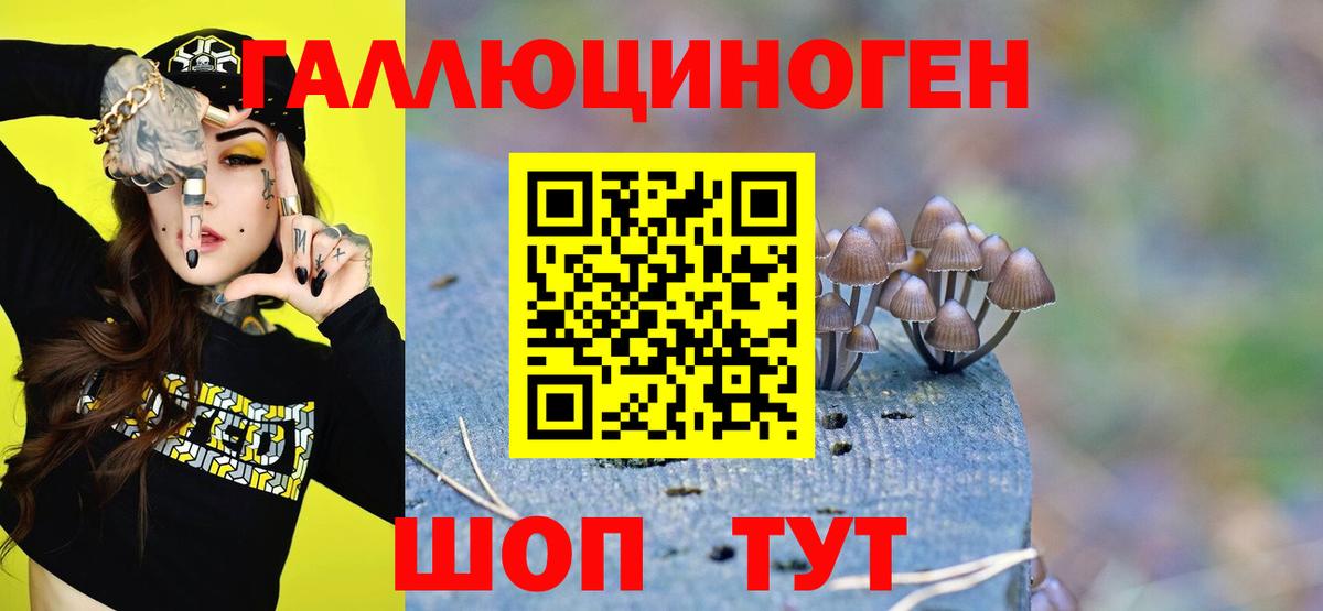 Галлюциногенные грибы ЛСД Петрозаводск