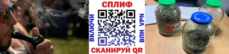 Шишки марихуана план Петрозаводск